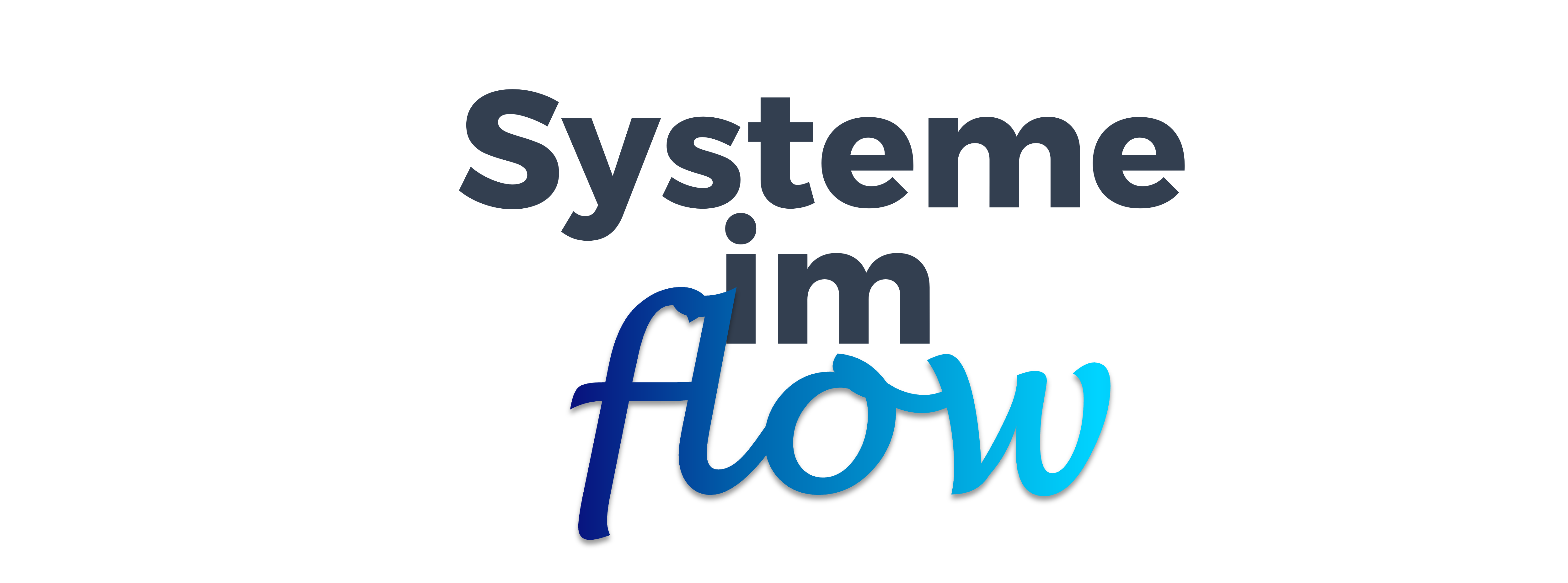 Systeme im Flow