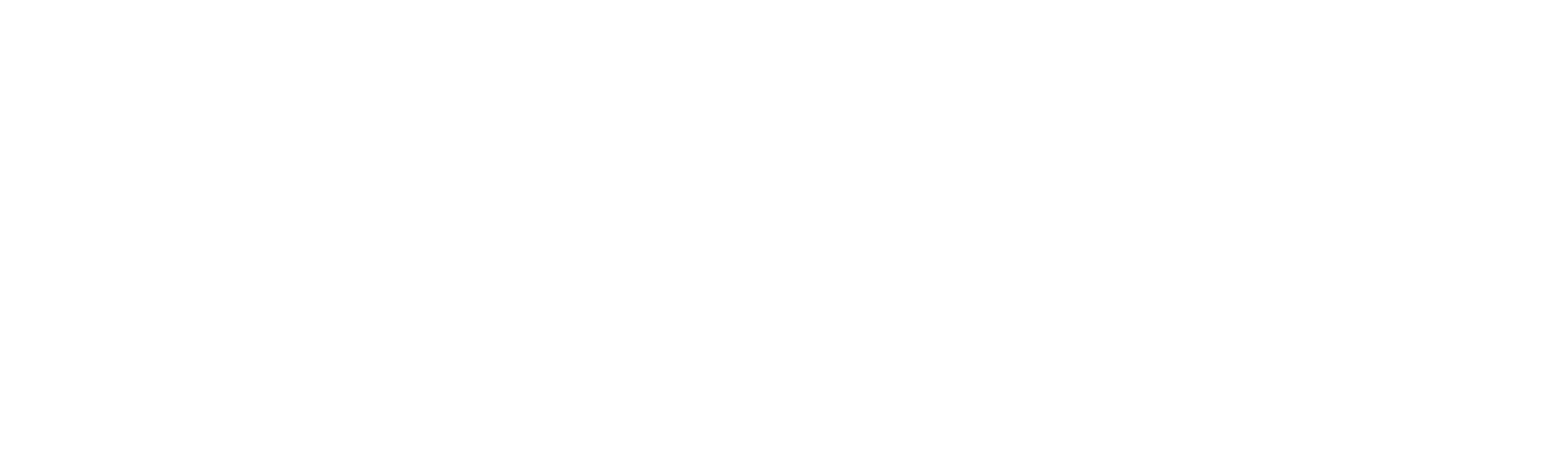 Tesseron_Logo_Primaer_work-with-the-flow_White
